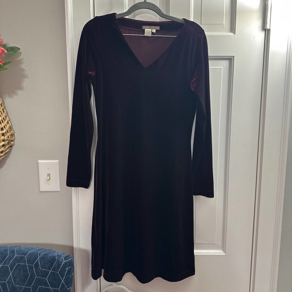 Isabella Bird velvet dress